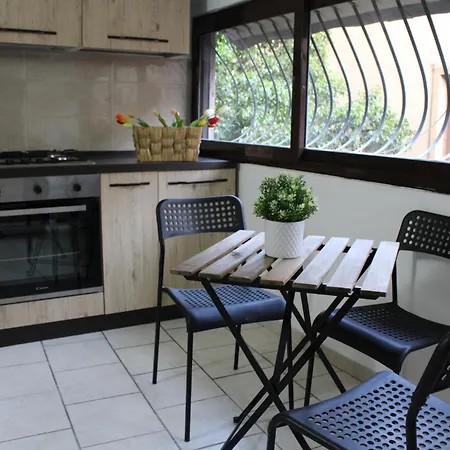 Tulip Guest house